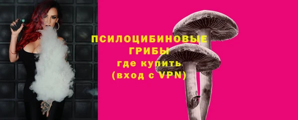 хмурый Абинск
