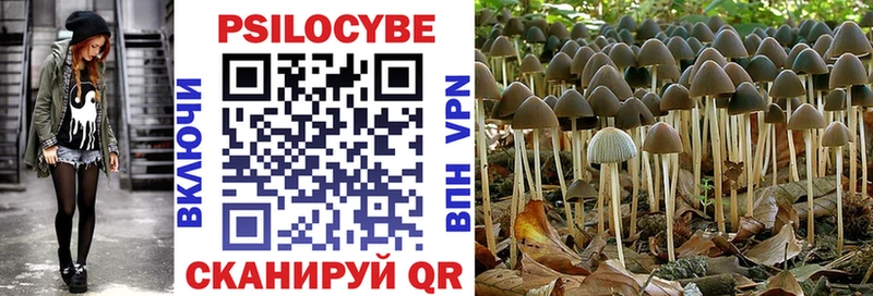 Псилоцибиновые грибы Cubensis  hydra вход  Верхоянск 